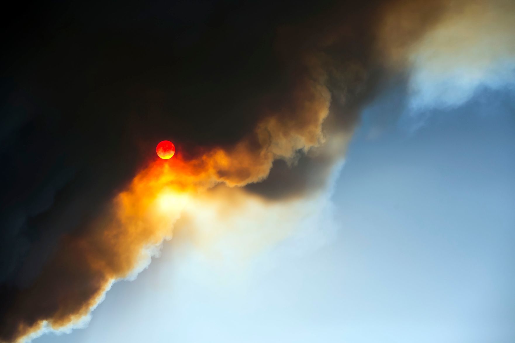 Fishhawk Fire